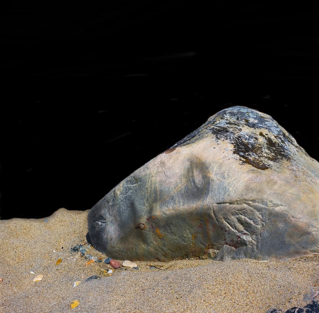 John Michael Hudtwalcker